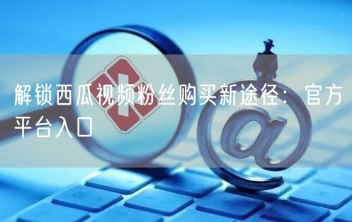 解锁西瓜视频粉丝购买新途径：官方平台入口