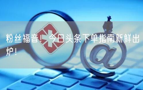 粉丝福音！今日头条下单指南新鲜出炉！