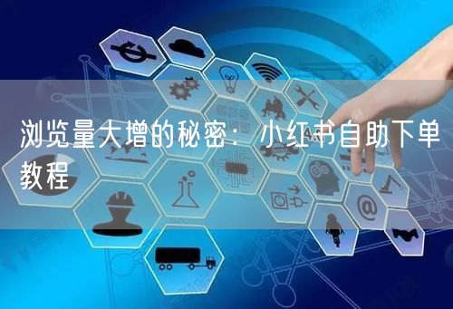 浏览量大增的秘密：小红书自助下单教程