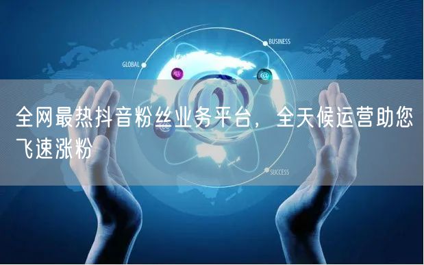 全网最热抖音粉丝业务平台，全天候运营助您飞速涨粉